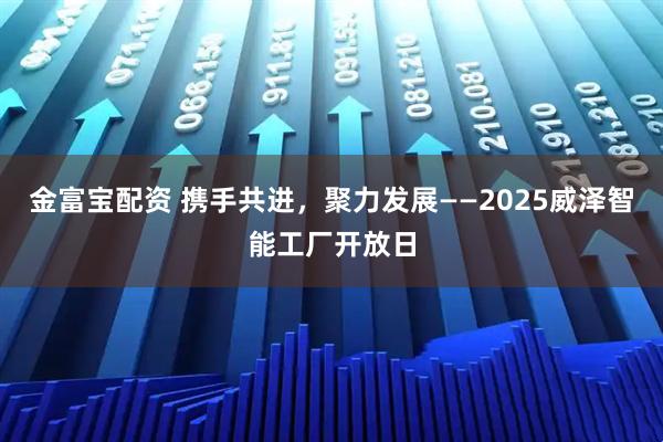 金富宝配资 携手共进,聚力发展——2025威泽智能工厂开放日